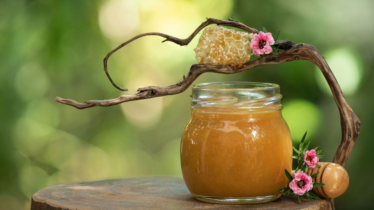 Manuka Honey Is A Natural Remedy For Wound Healing, Oral And Digestive Health, Let’s Explore Its Benefits
